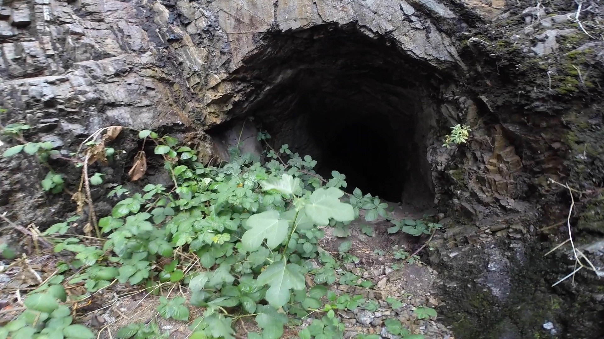 Saucer Canyon Mine