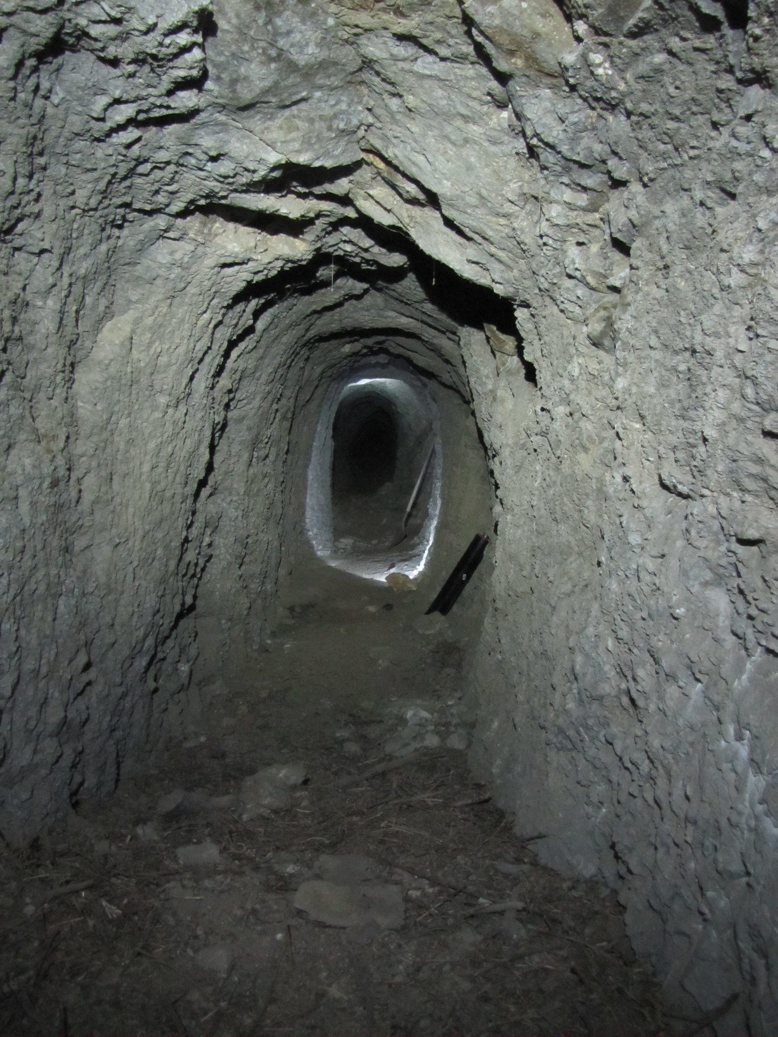 Buell’s Mining Folly